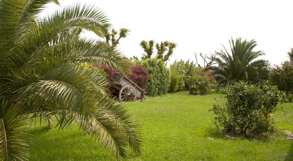 Locanda Il Girasole Ancona Buitenkant foto
