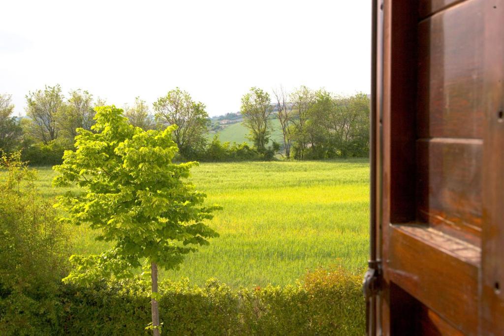 Locanda Il Girasole Ancona Kamer foto